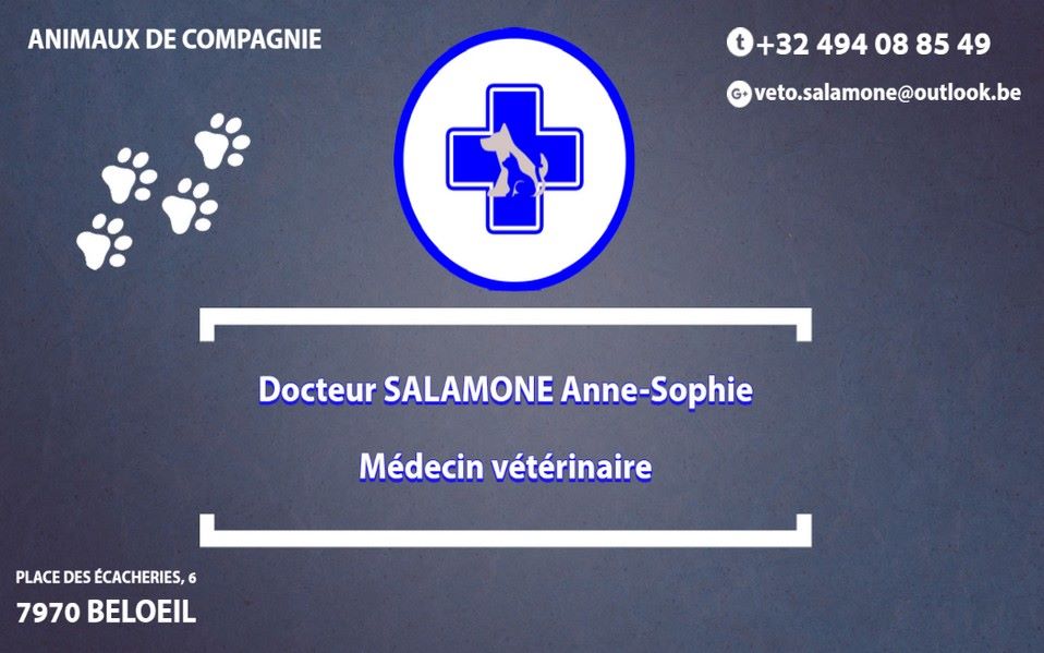 Docteur Salamone
